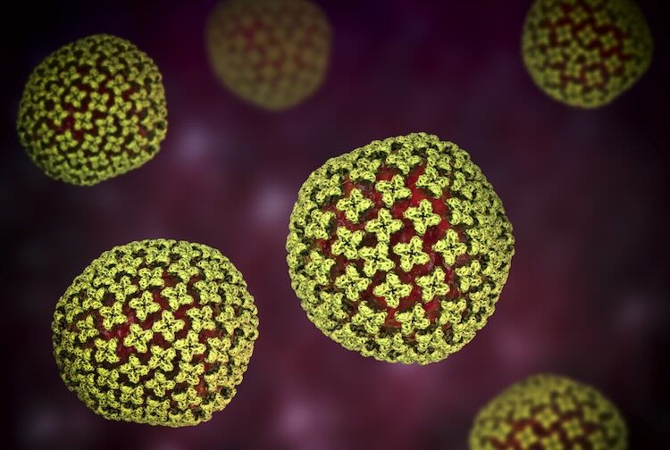 Hantavirus-GettyImages